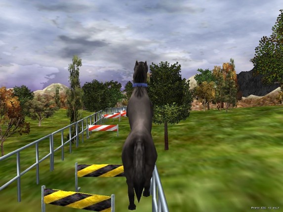 The Zoo Race screenshot