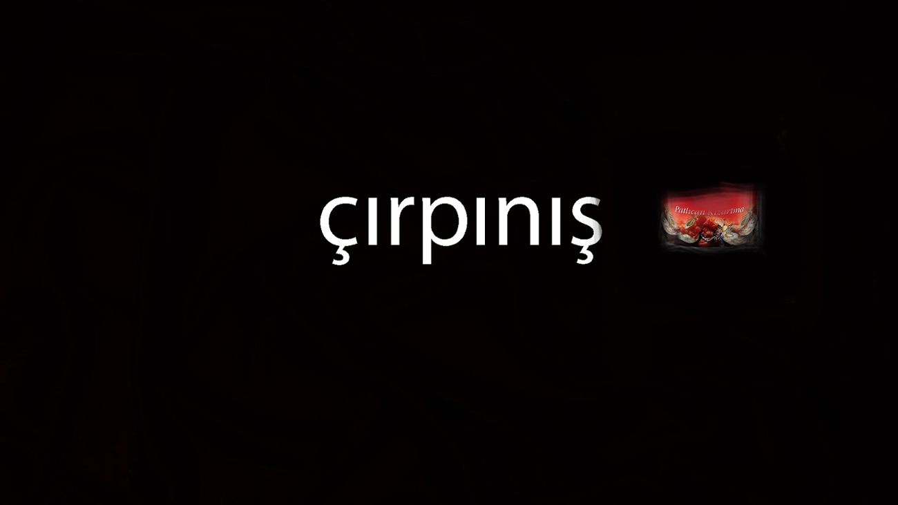 Games like ÇIRPINIŞ