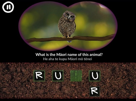 He Kīrehe Māori / Native Animals Image