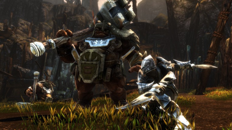 Kingdoms of Amalur: Re-Reckoning FATE Edition Image
