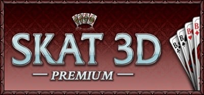 Skat 3D Premium Image