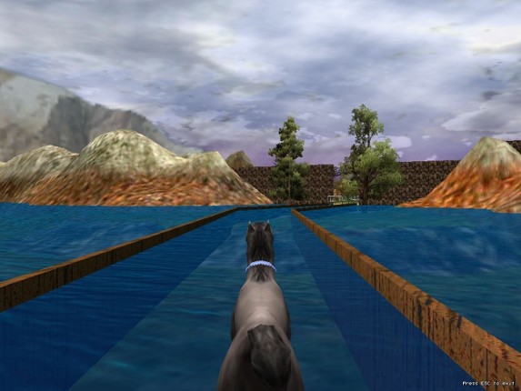 The Zoo Race Image