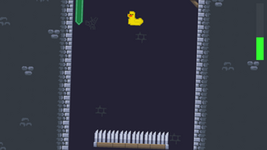 Ducky Dungeon Image