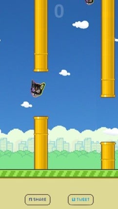 Flying Tron Cat Image