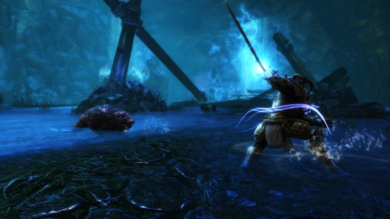 Kingdoms of Amalur: Re-Reckoning FATE Edition screenshot
