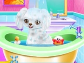 My New Poodle Friend - Pet Care Game Image