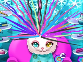 Pet Kitty Fantasy Hairstyle Image