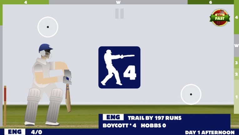 Touch Cricket screenshot