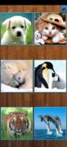 Animals Jigsaw Image