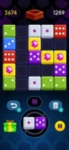 Domino Dice Puzzle Image