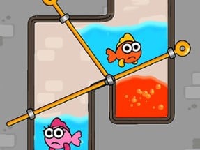 Fish Love Game Image