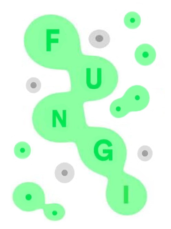 Games like FUNGI