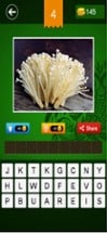 Guess The Vegetable - Enjoy it Image