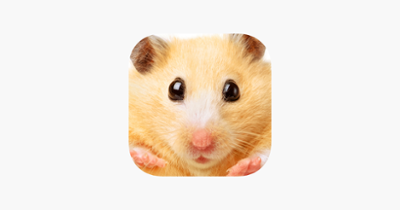 Hamster Jigsaw Puzzle Games Image