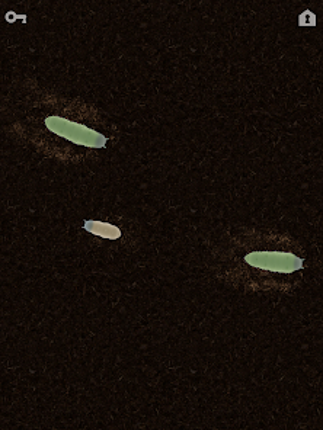 CAT ALONE - Cat Toy screenshot