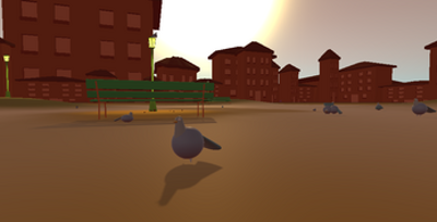 PigeonVR Image