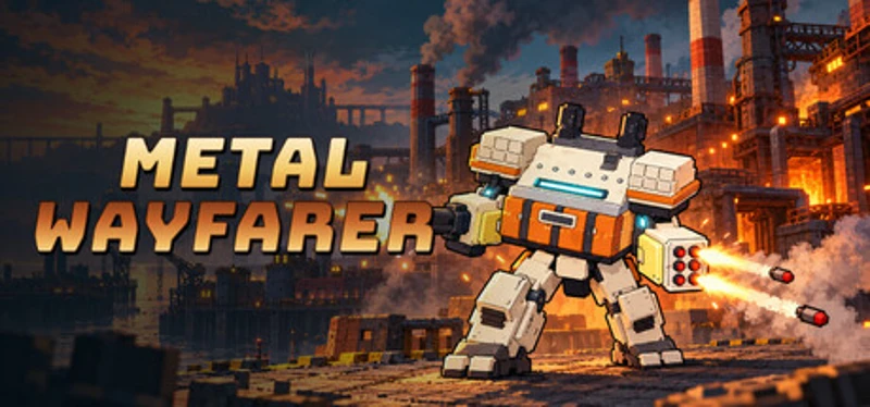 Metal Wayfarer Image