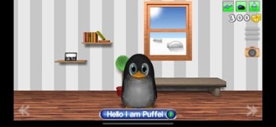 Puffel the penguin Image