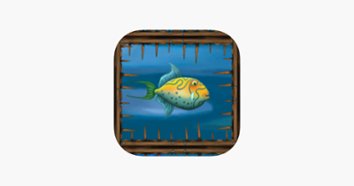 Maze fish Image