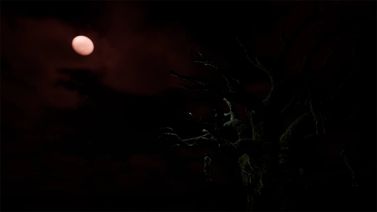 The Death... And After? Image