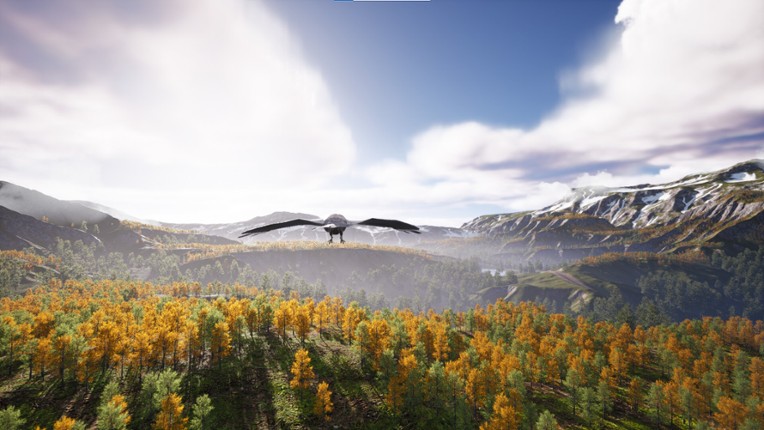 Bird's Eye Odyssey screenshot