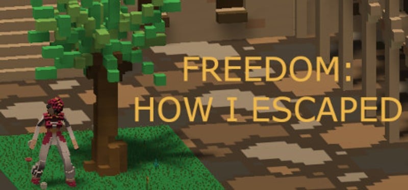 Freedom: How I Escaped Game Cover