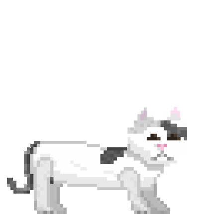 Mysterious kittens Image