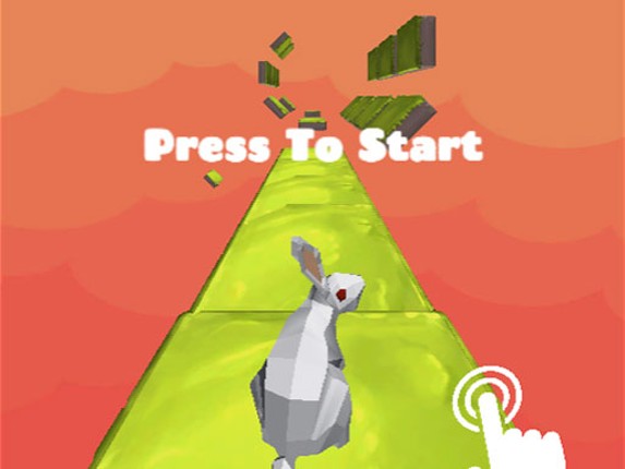 Rabbit Twister Image