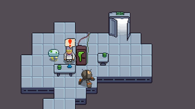 The Visitor Effect Image