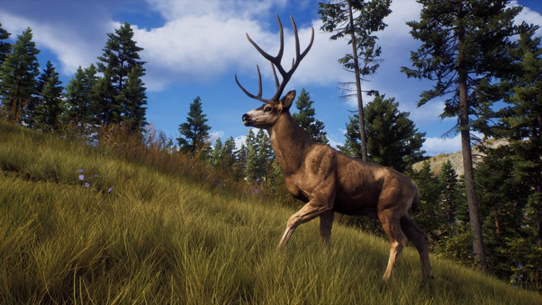 Way of the Hunter: Elite Edition screenshot