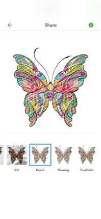 Adult Butterfly Coloring Book screenshot