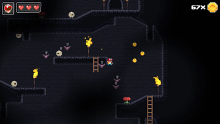 Super Dungeon Boy Image
