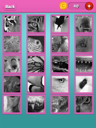 Quiz Pic: Animals Image