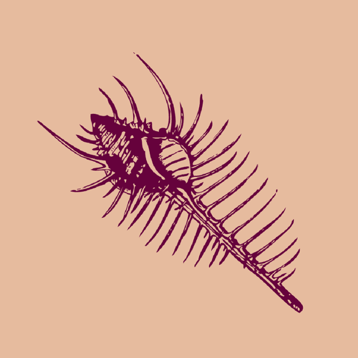 Games like Tyrian Purple