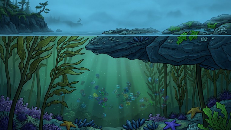 Molluscarium screenshot