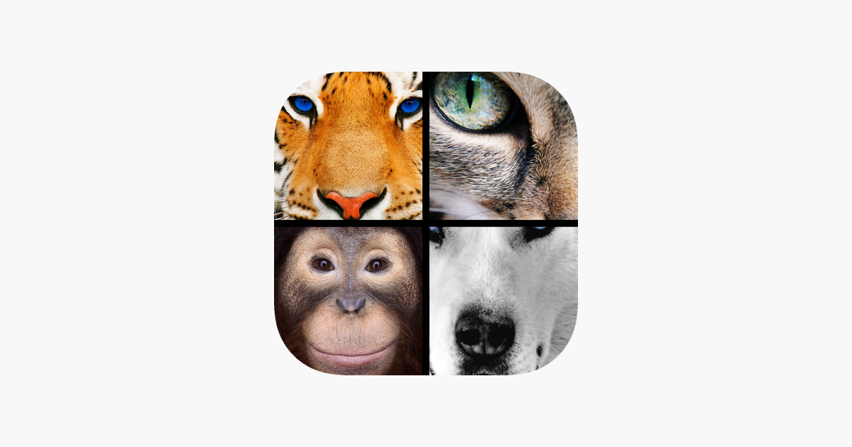 Games like Quiz Pic: Animals
