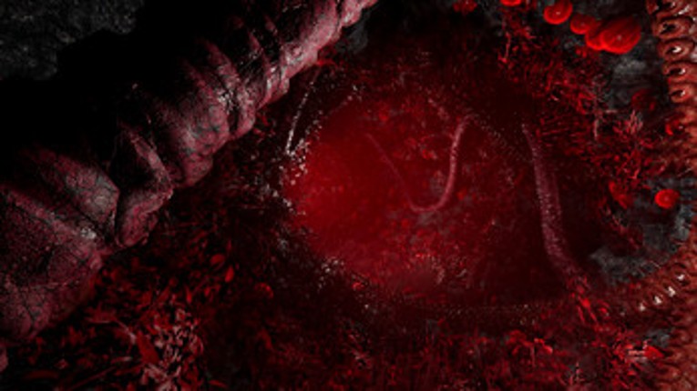 The Green Light Image