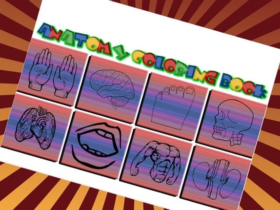 Atlas Of Body Parts Human Anatomy Coloring Book screenshot