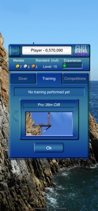 Cliff Diving Champ screenshot
