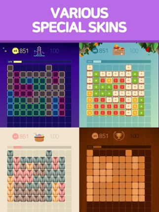 1010 Block Puzzle! Image