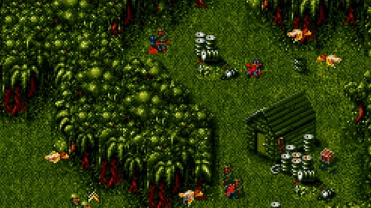 Cannon Fodder Image