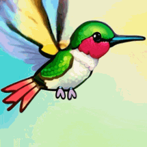 HummingBirdHarmony Image