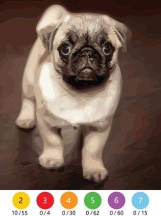 Oil Painting Color by Number Image