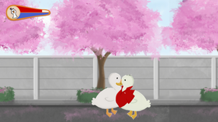 Educational Duck Boxing Image