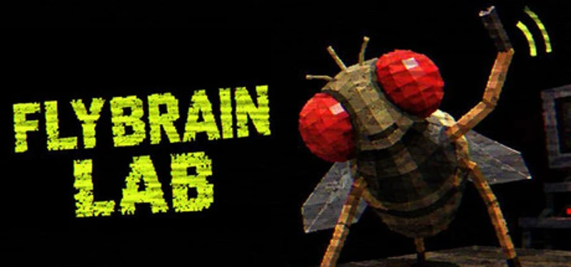 FLYBRAIN LAB Image