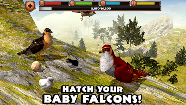 Falcon Simulator screenshot