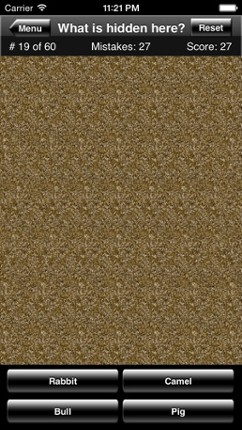 Magic Eye Stereogram Quiz Image