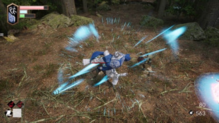 Project SJHG screenshot