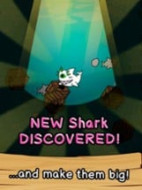 Shark Evolution - Clicker Game Image