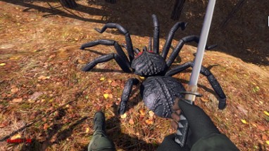 Forest spiders Image